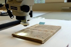 manuscripts-1